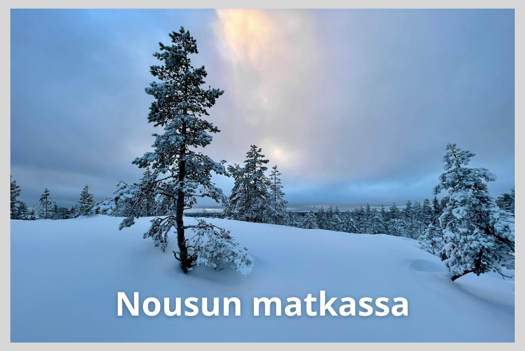 Nousu 24 vuotta – joukkovoimaa työelämään